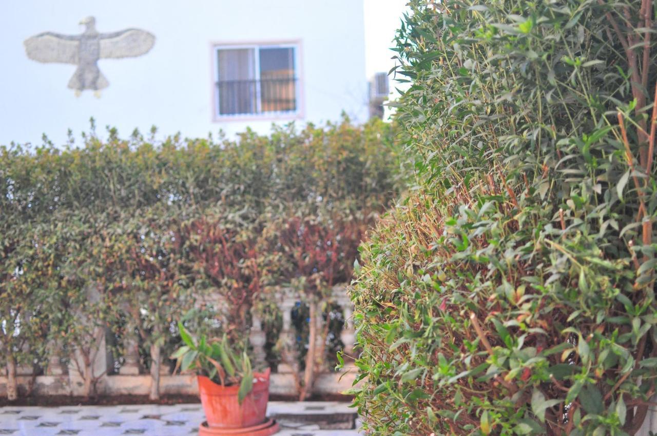 Morning Star Guesthouse Sharm el-Sheikh Exterior photo