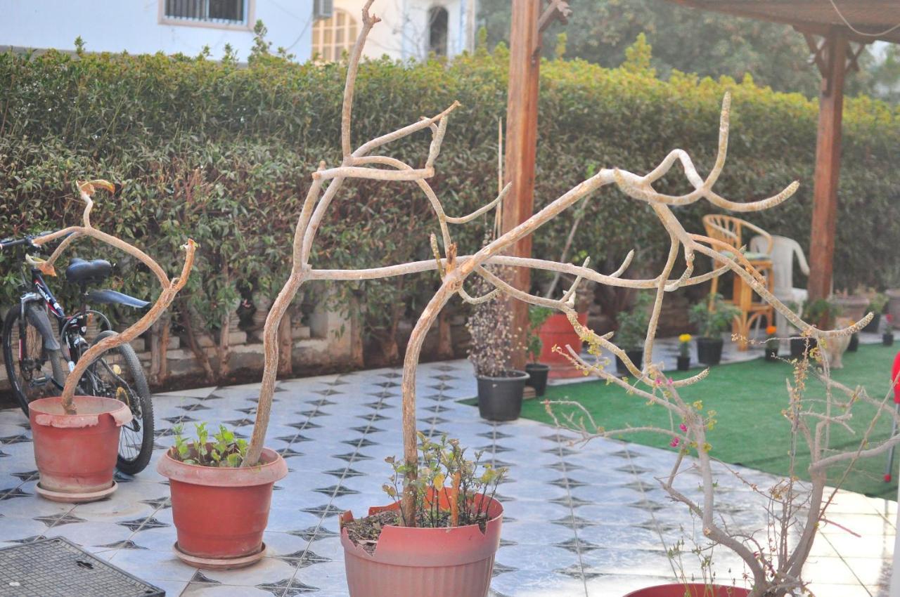 Morning Star Guesthouse Sharm el-Sheikh Exterior photo